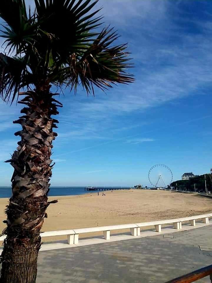 Hôtel Villa-Lamartine Arcachon Esterno foto