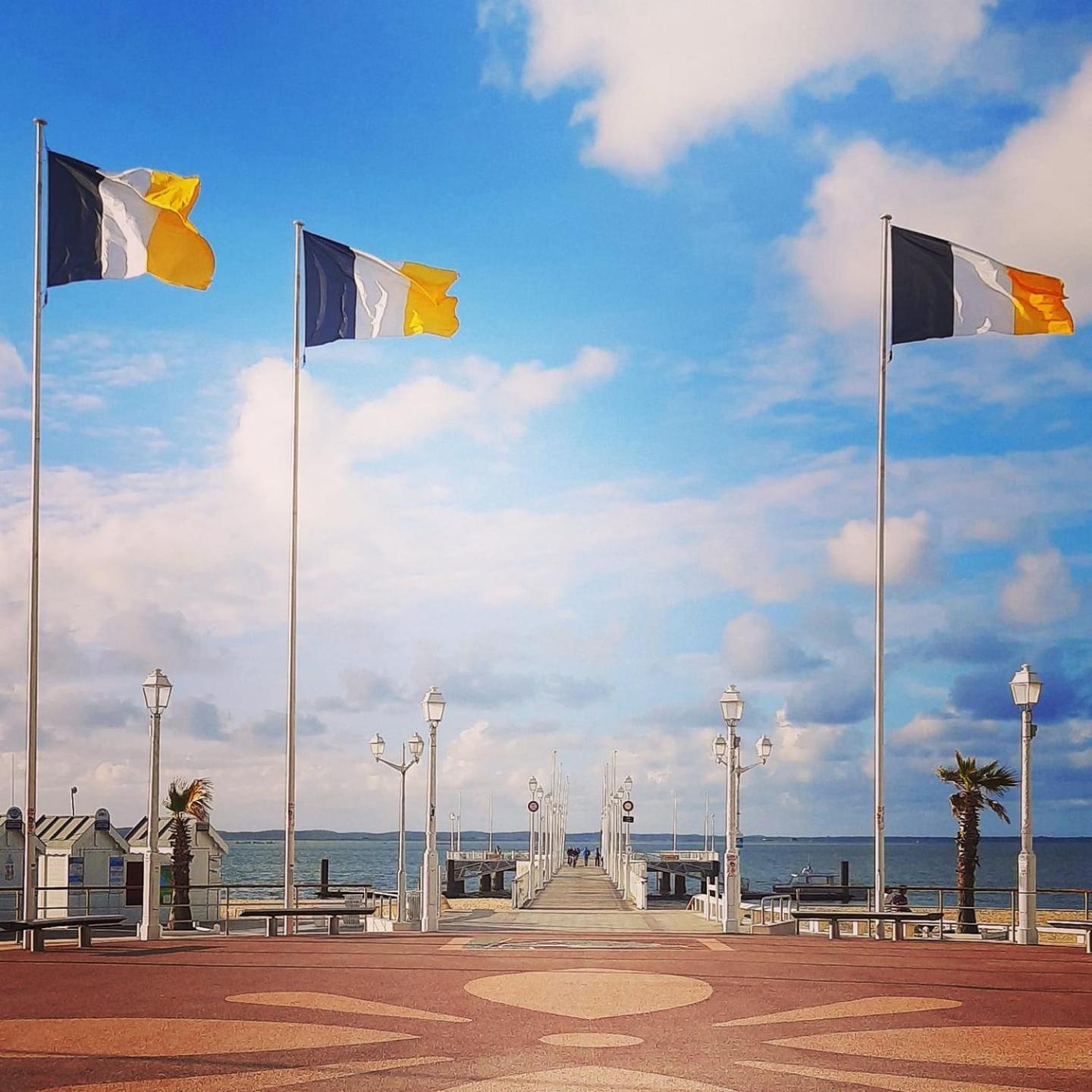Hôtel Villa-Lamartine Arcachon Esterno foto